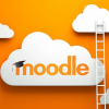 Picture of ADMINISTRADOR MOODLE